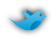Twitter @VCU_NL
